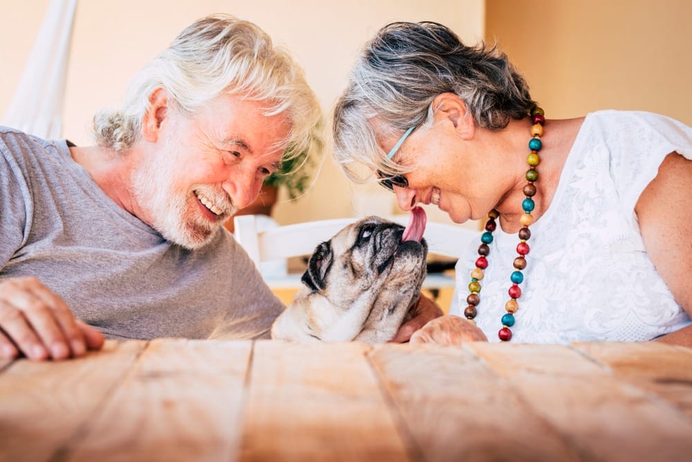 An older couple with a pug dog at a table receiving non-medical home care.