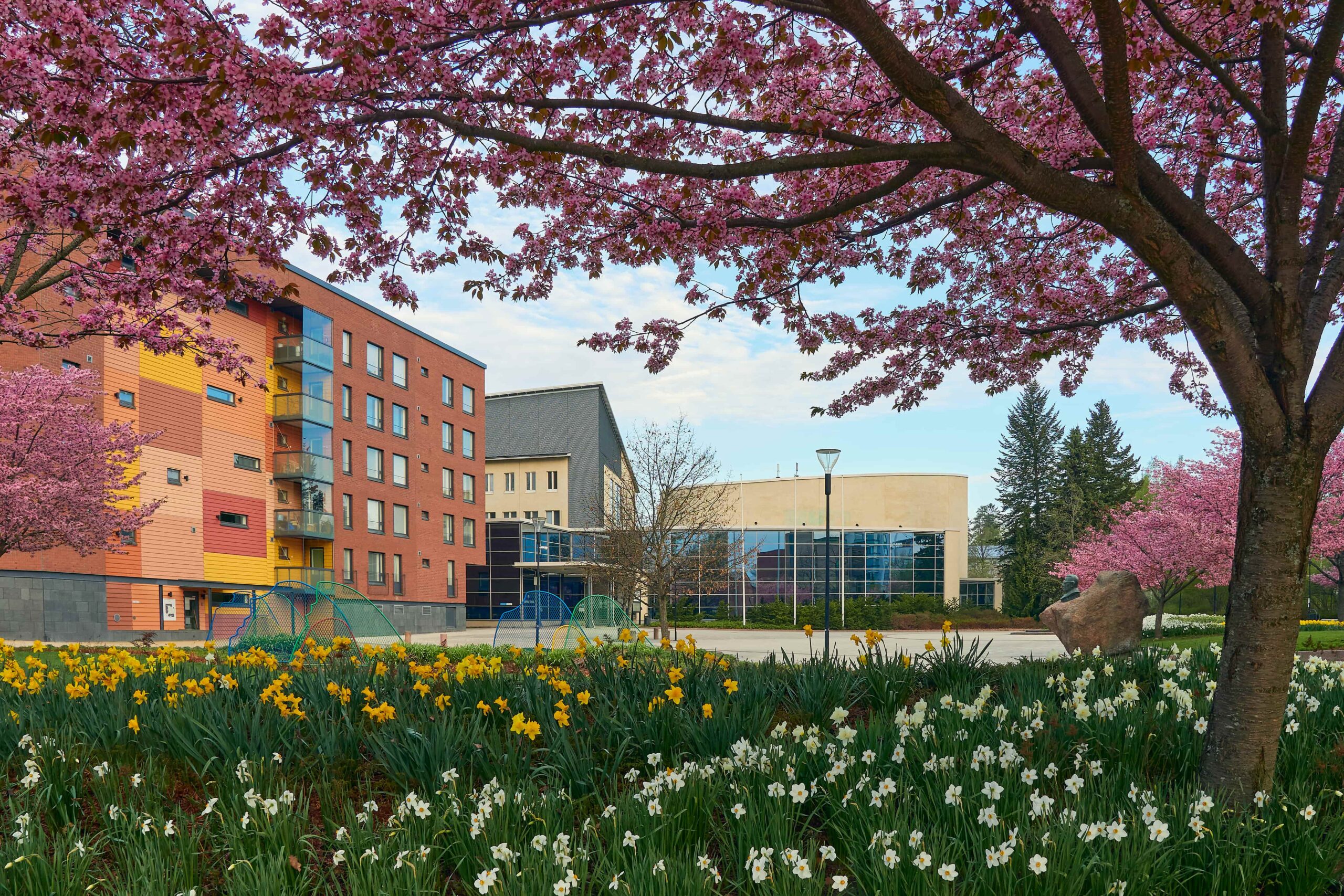 Spring 2025 Newsletter - Compassionate Caregivers