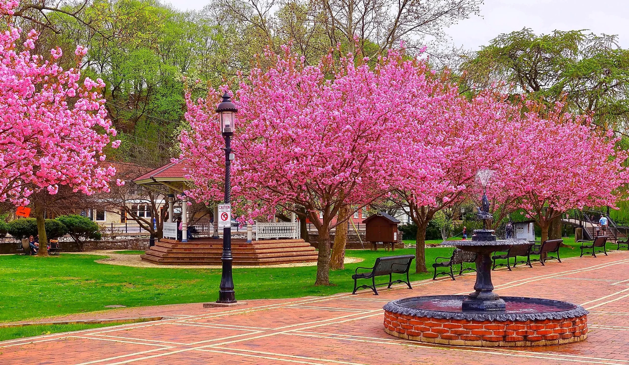 Park scene with blooming pink cherry blossom trees, a black fountain, lamp posts, benches, and a gazebo. Brick pathways and green grass are visible.