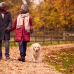 Senior Couple Walking With Pet Golden Retriever Dog In Autumn Countryside