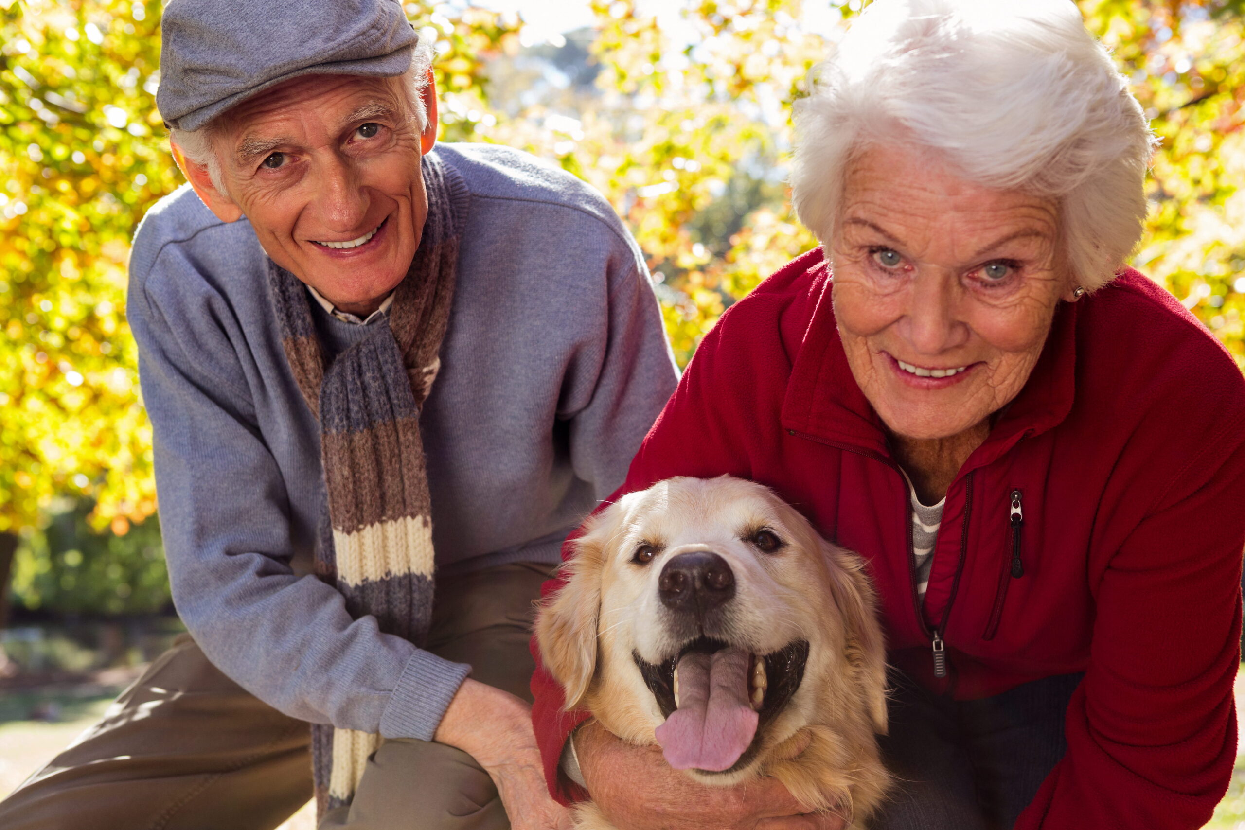 The Healing Power of Pet Therapy for Senior Well-Being - Compassionate Caregivers