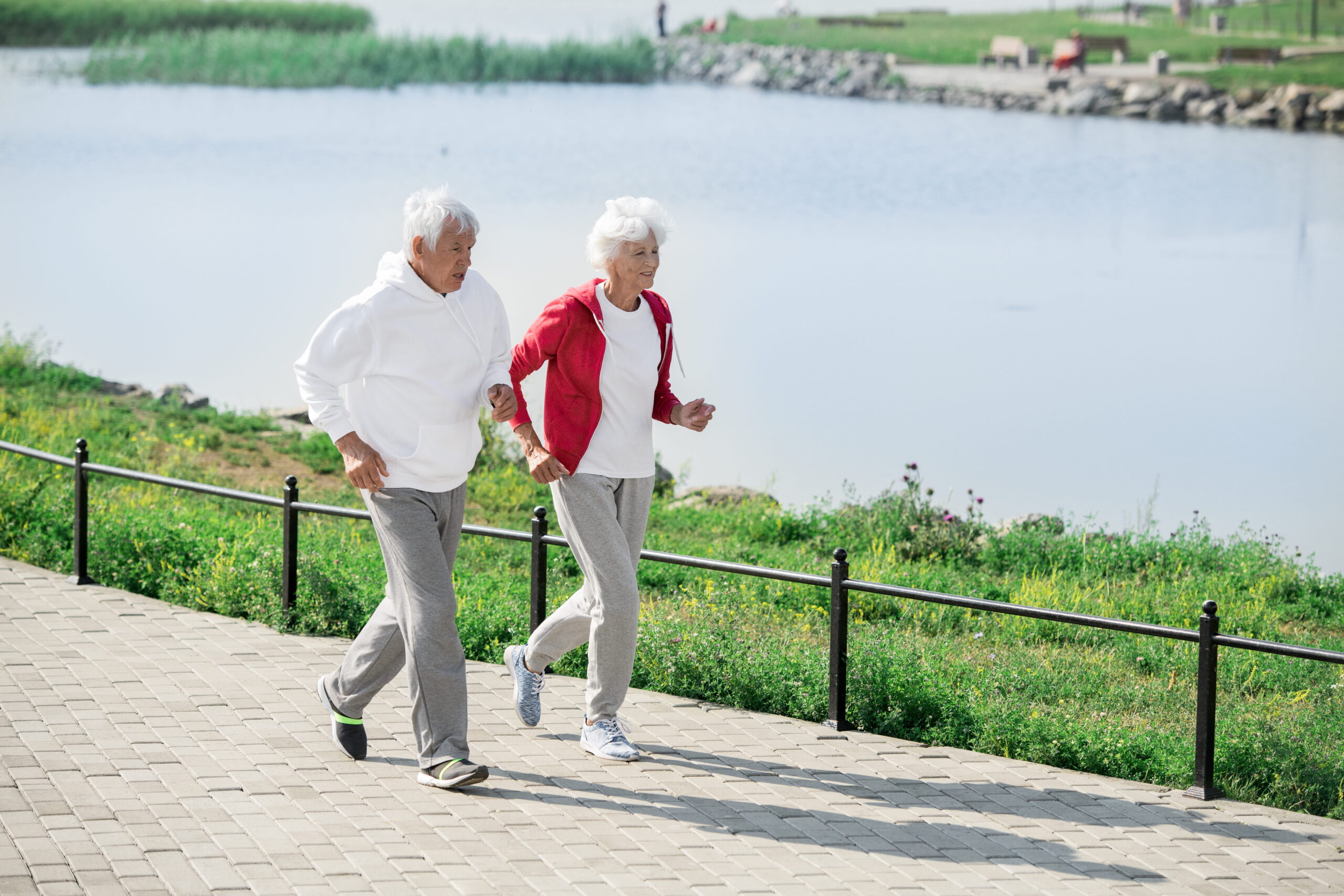 Simple Daily Mobility Exercises for Active Aging - Compassionate Caregivers