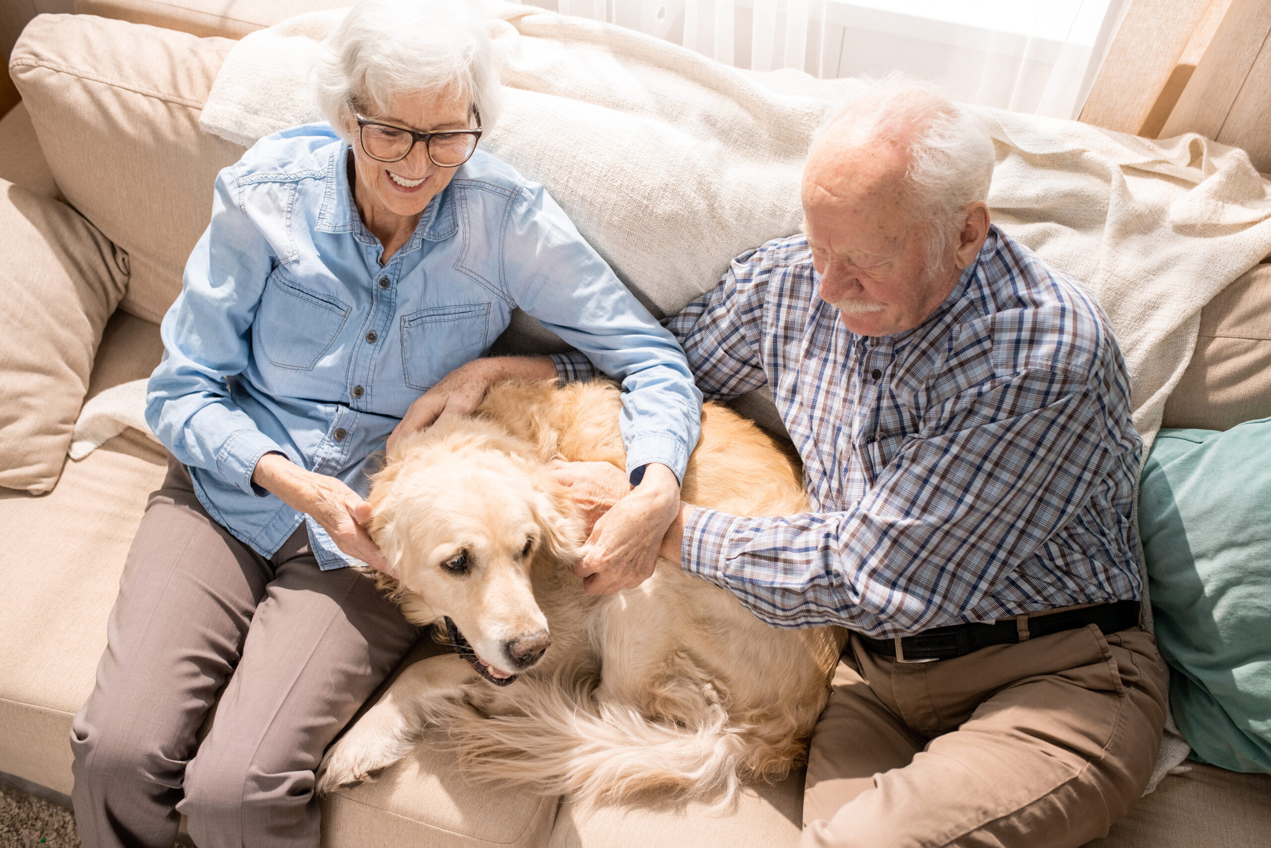 The Healing Power of Pet Therapy for Senior Well-Being - Compassionate Caregivers