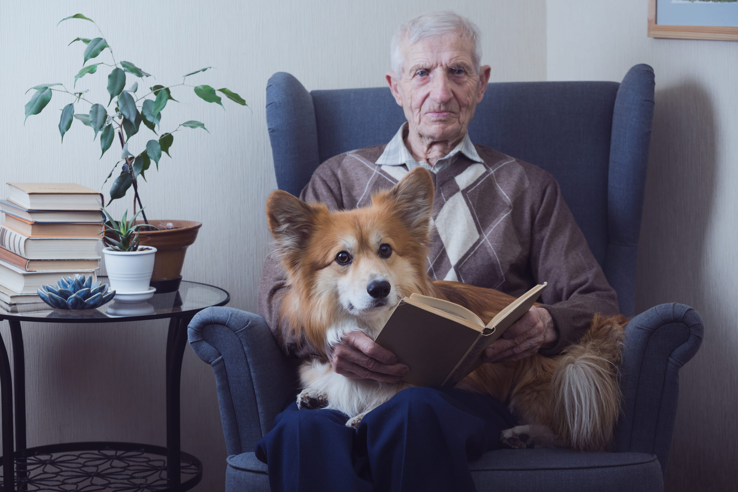 The Healing Power of Pet Therapy for Senior Well-Being - Compassionate Caregivers