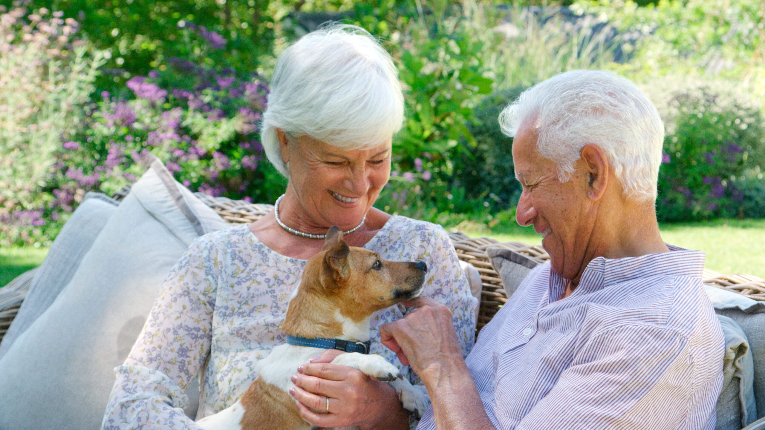 The Healing Power of Pet Therapy for Senior Well-Being - Compassionate Caregivers