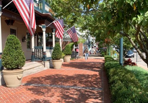 A brick walkway lined with american flags and potted plants.